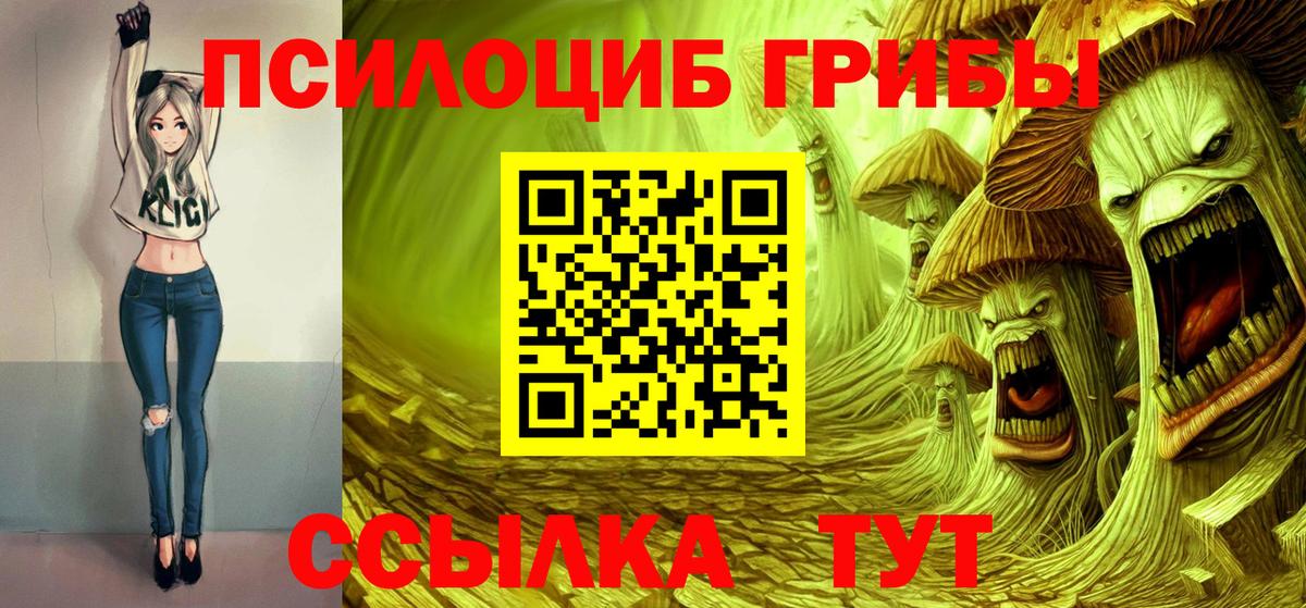 Россия  Псилоцибиновые грибы мицелий  Вход с VPN 