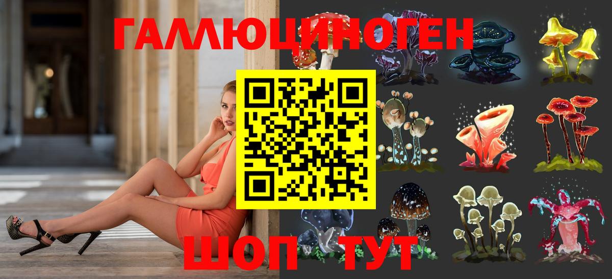 Галлюциногенные грибы Psilocybe Россия